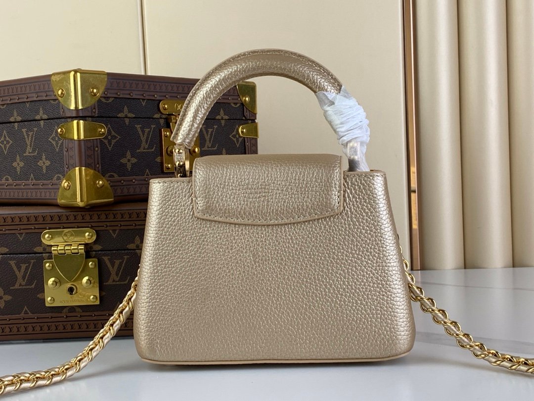 Louis Vuitton M48865 M24583 Gold1 - Image 4