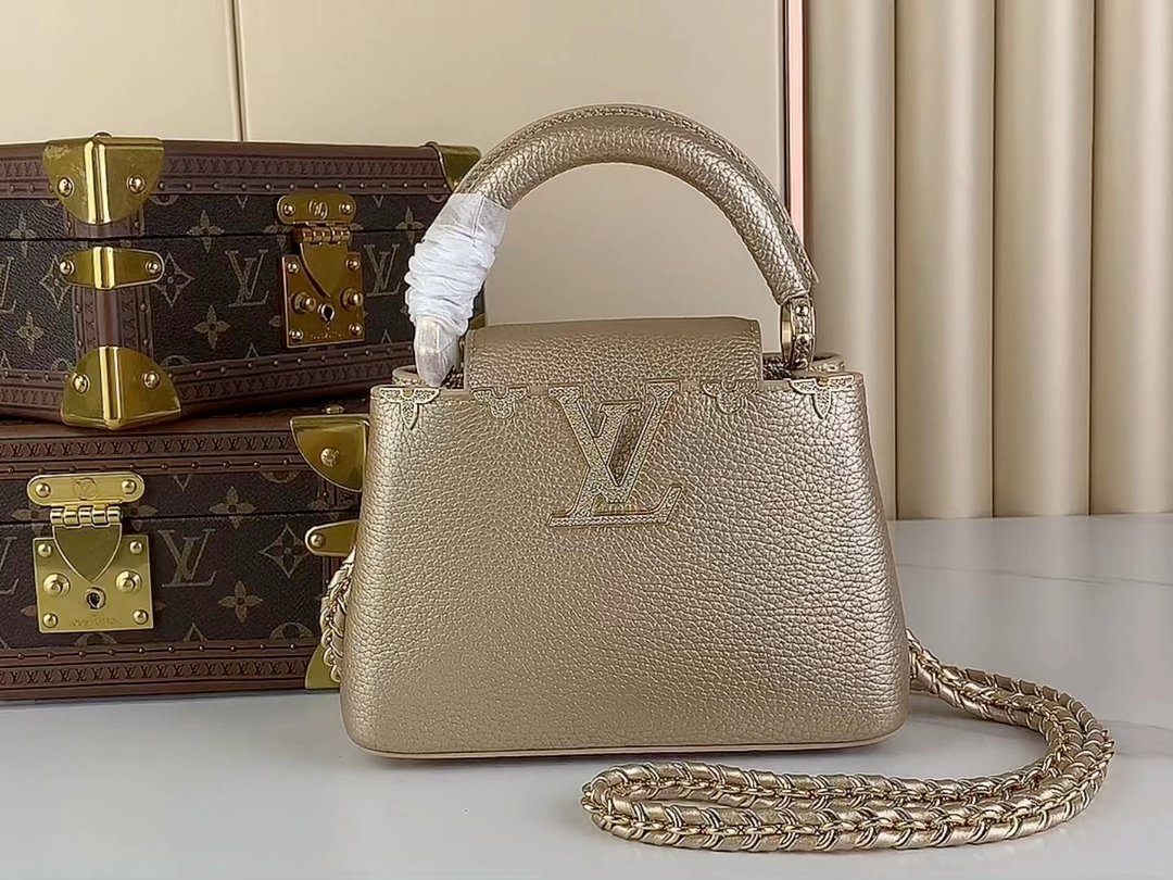 Louis Vuitton M48865 M24583 Gold1