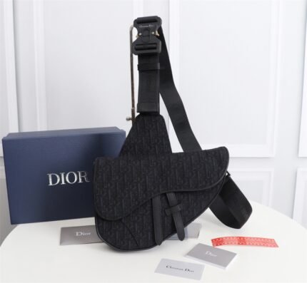 Dior Dior men's saddle b