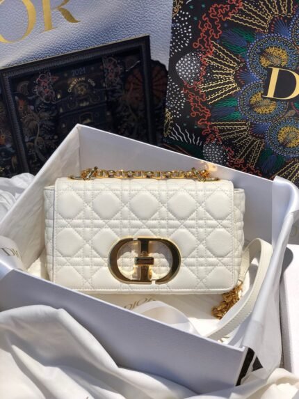 This Dior Caro Daily Handbag