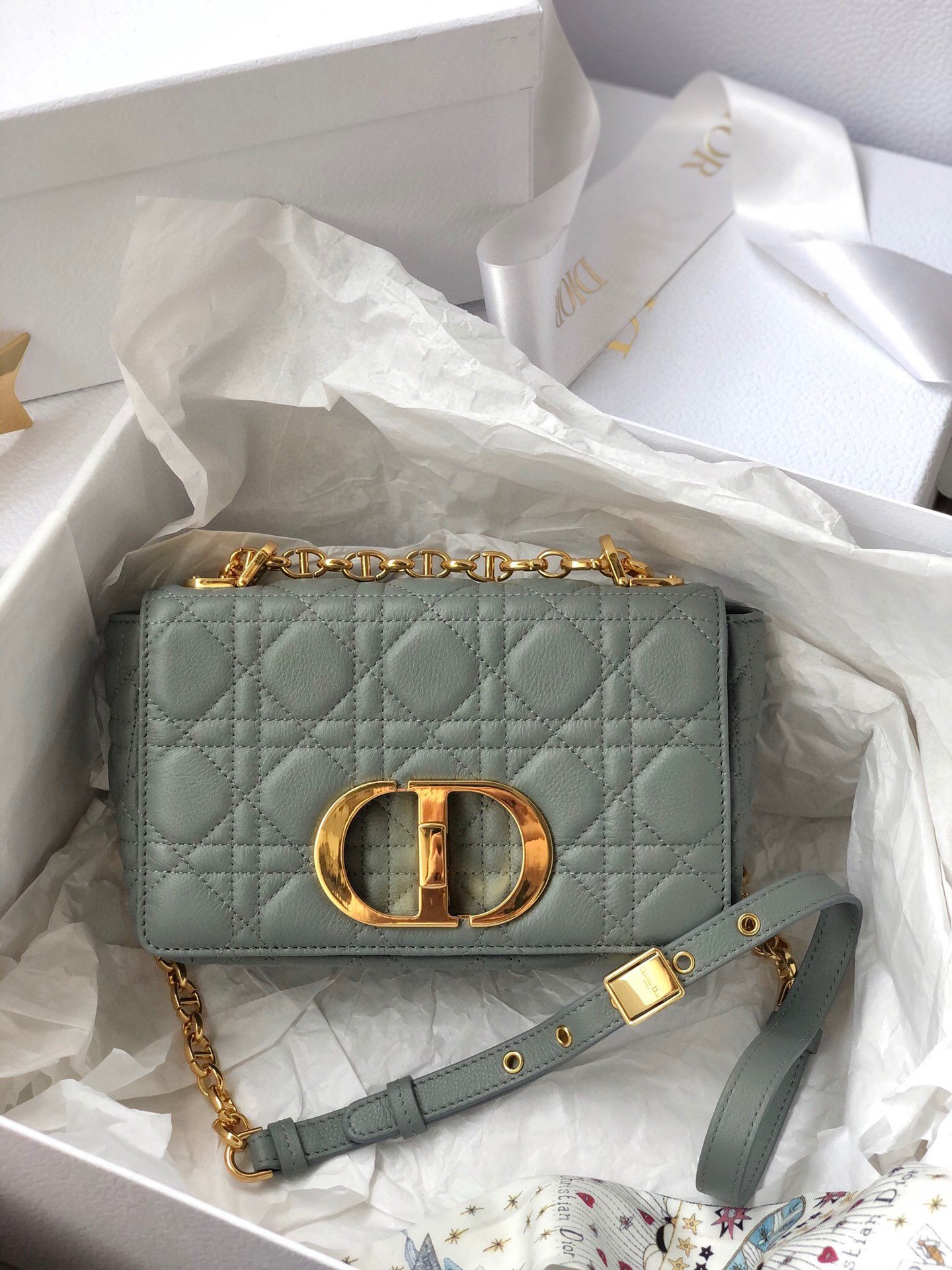 This Dior Caro Daily Handbag