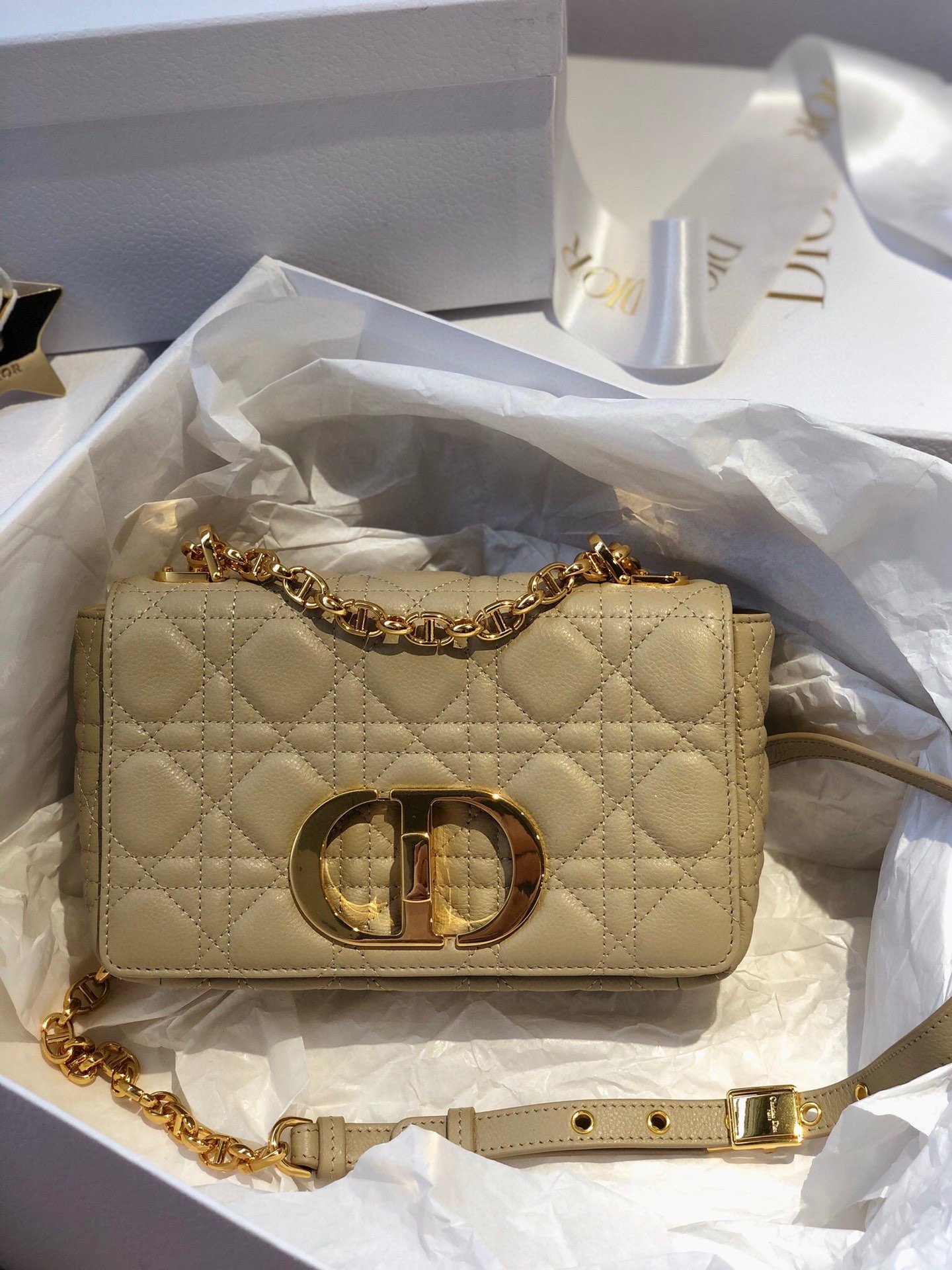 This Dior Caro Daily Handbag