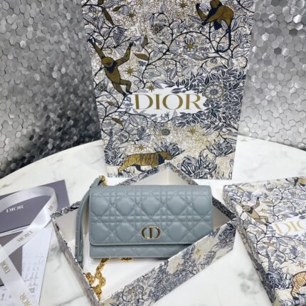DIOR CARO