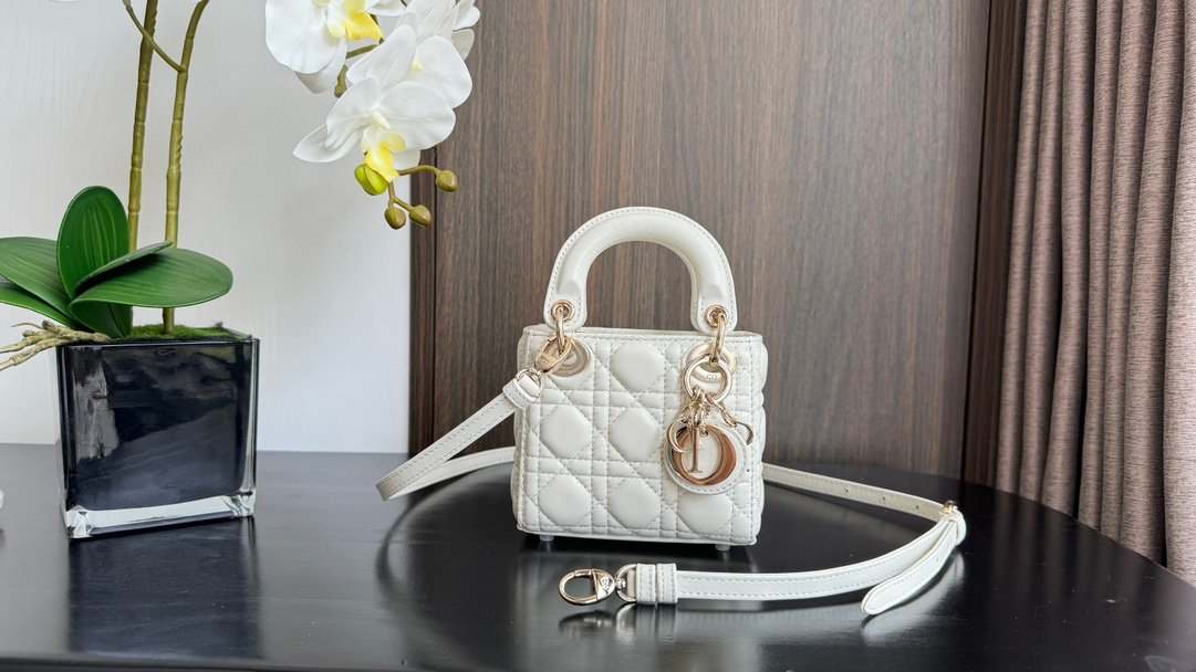 Lady Dior Mini Bag M6601