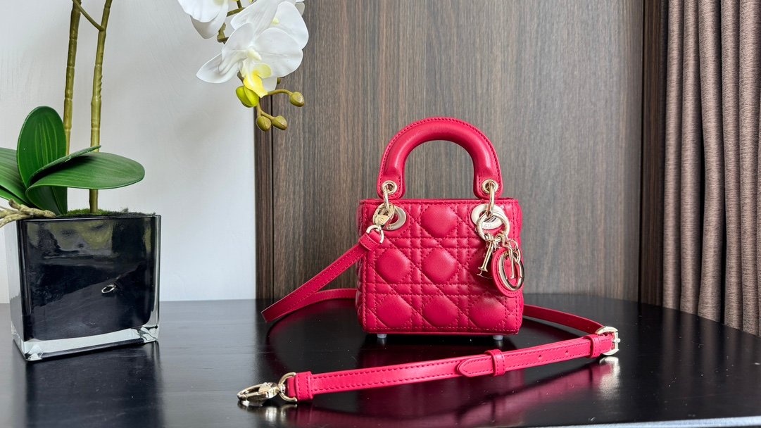 Lady Dior Mini Bag M6601