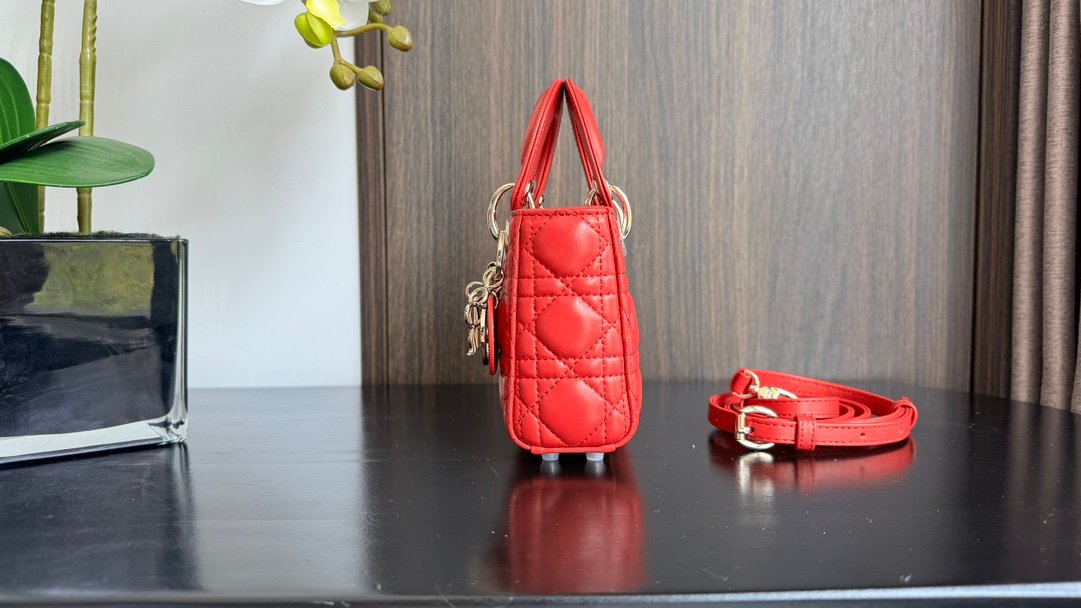 Lady Dior Mini Bag M6601 - Image 5