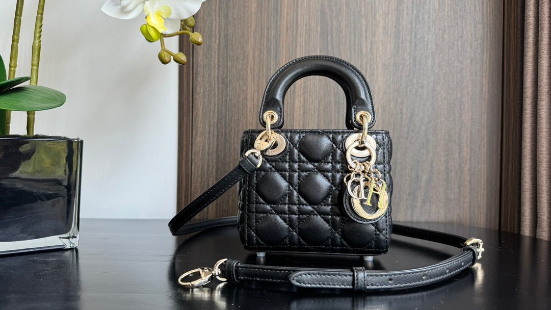 Lady Dior Mini Bag M6601