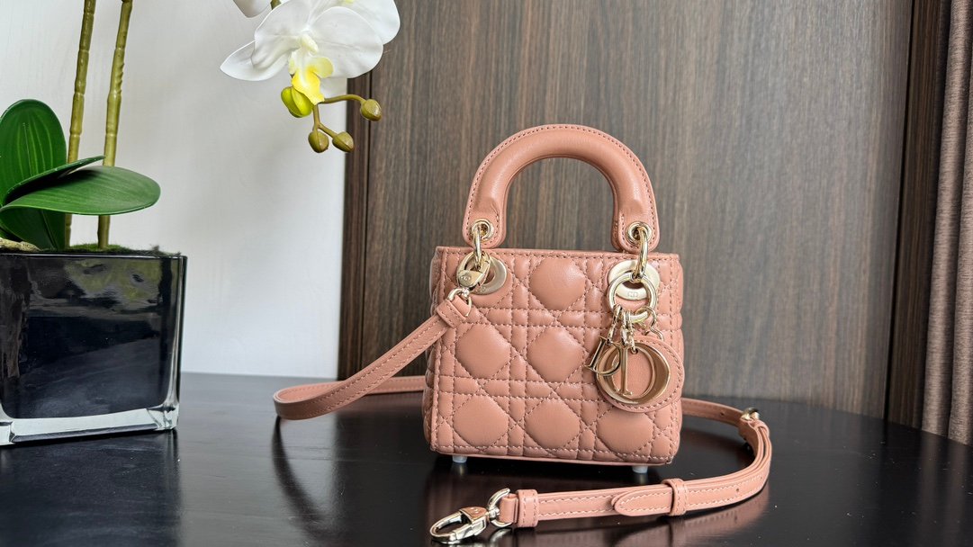 Lady Dior Mini Bag M6601