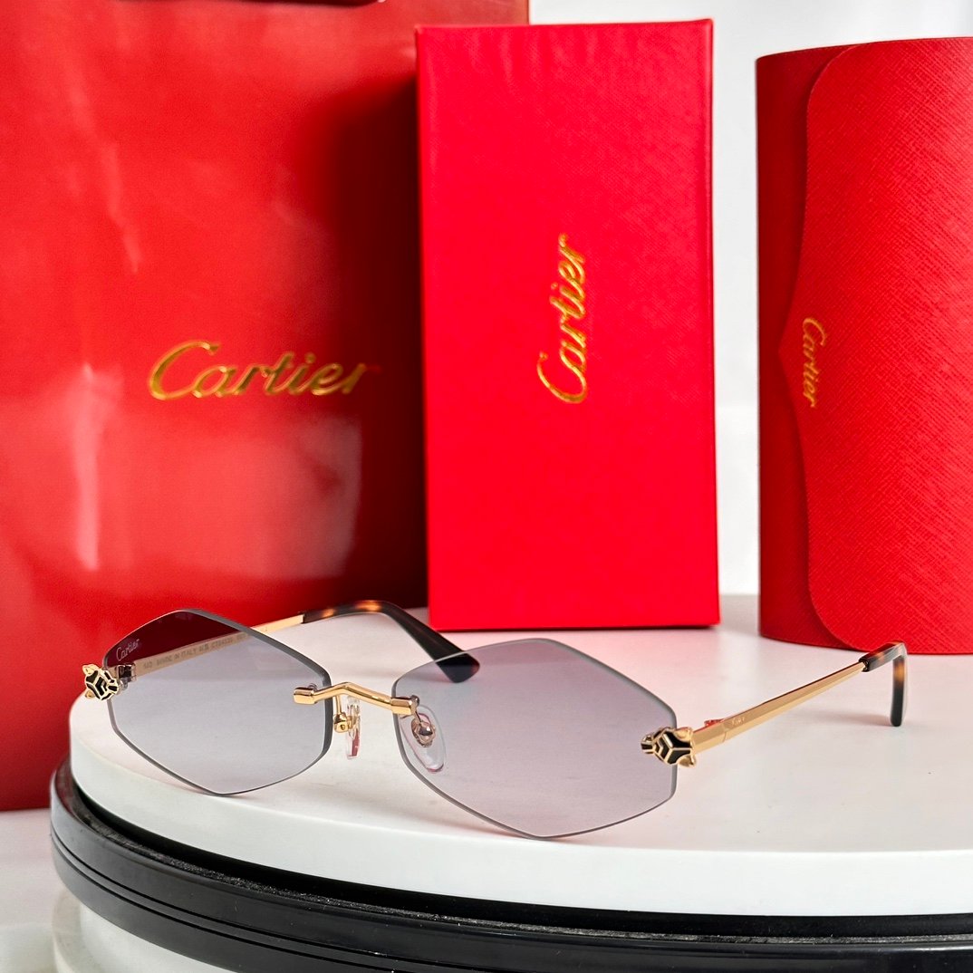 Zeiss lenses
Cartier
Mod:CT0433S
Size:55-22-140 - Image 8