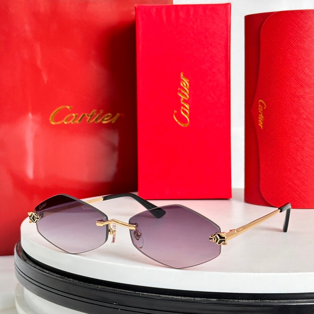 Zeiss lenses
Cartier
Mod:CT0433S
Size:55-22-140 - Image 7