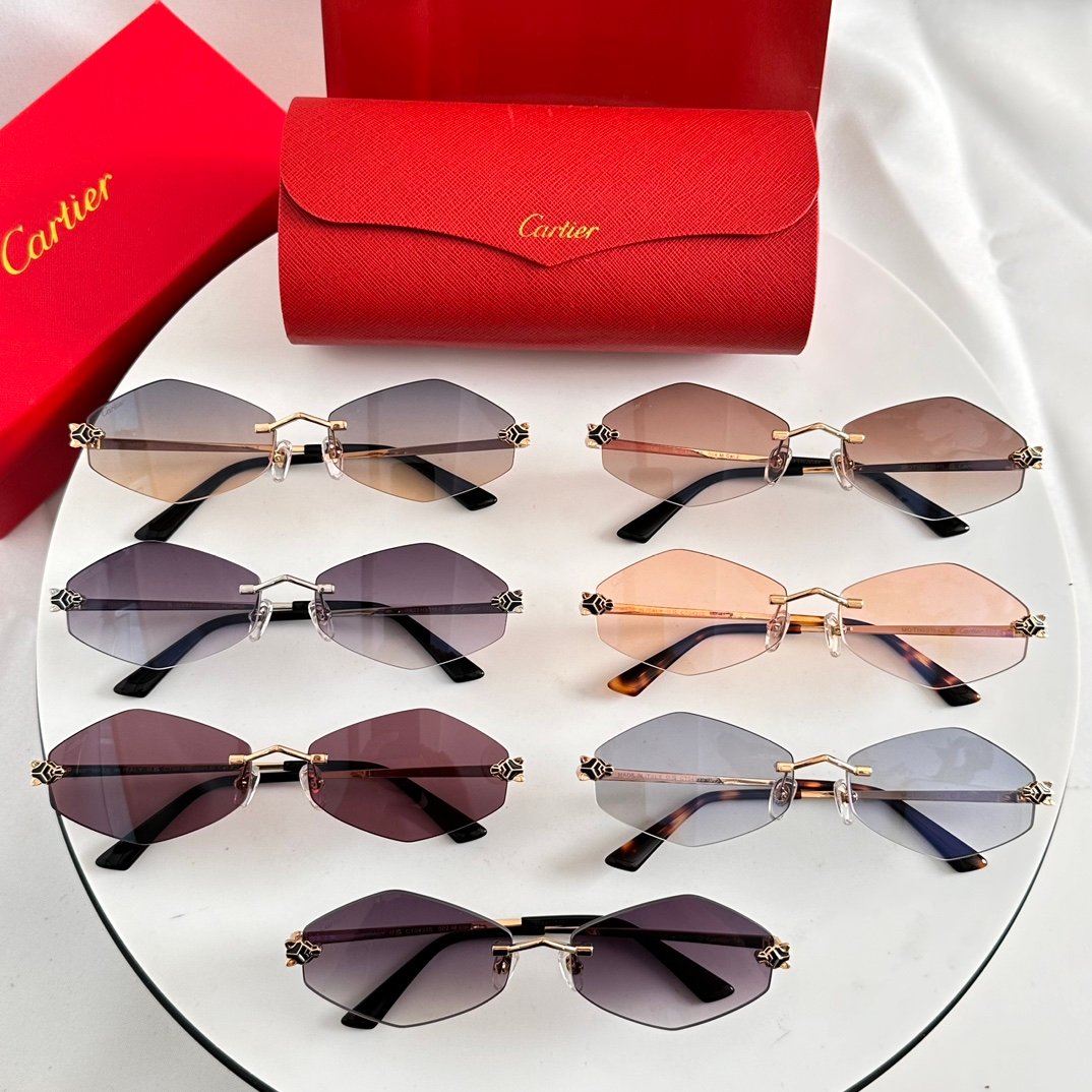 Zeiss lenses
Cartier
Mod:CT0433S
Size:55-22-140 - Image 9