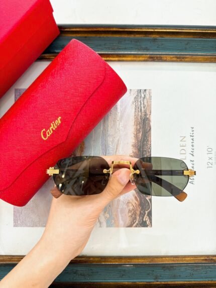 Cartie  MODEL：CT0362S SIZE：54口21-145