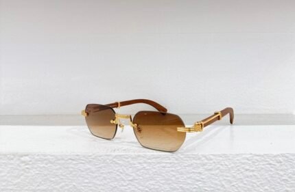 Cartie  MODEL：CT0362S SIZE：54口21-145