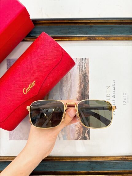 Cartie  MODEL：CT0363SSIZE：54口21-145