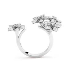 Socrate Between the Finger ring - Image 5