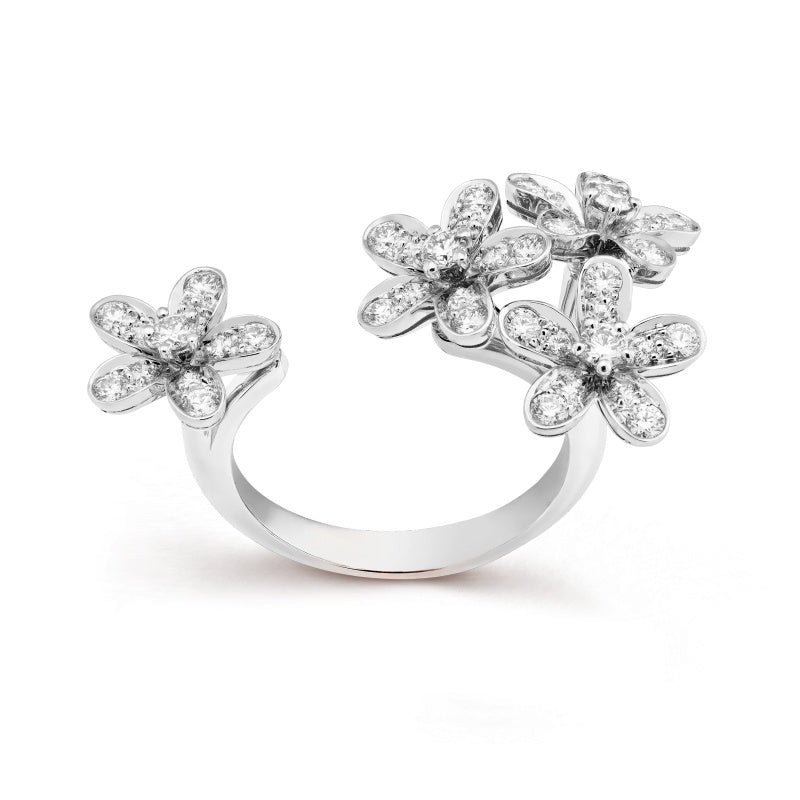 Socrate Between the Finger ring