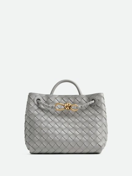 Bottega Veneta Small Andiamo
