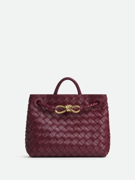 Bottega Veneta Small Andiamo