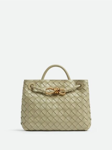 Bottega Veneta Small Andiamo