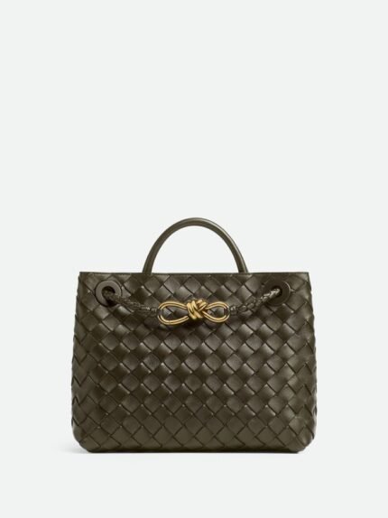 Bottega Veneta Small Andiamo