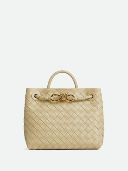 Bottega Veneta Small Andiamo