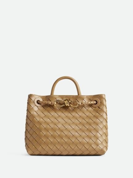 Bottega Veneta Small Andiamo