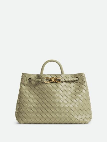 Bottega Veneta Medium Andiamo