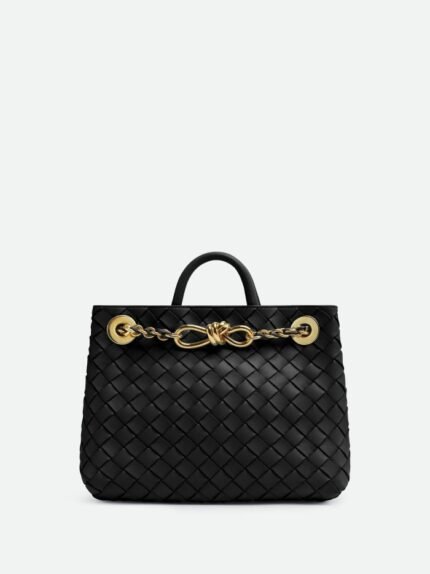 Bottega Veneta Small Andiamo With Chain