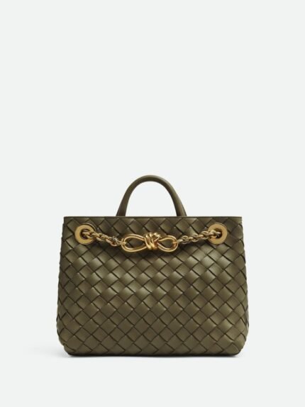 Bottega Veneta Small Andiamo With Chain